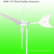 100W Wind Generator, Wind Hybrid Controller for Gardon Light